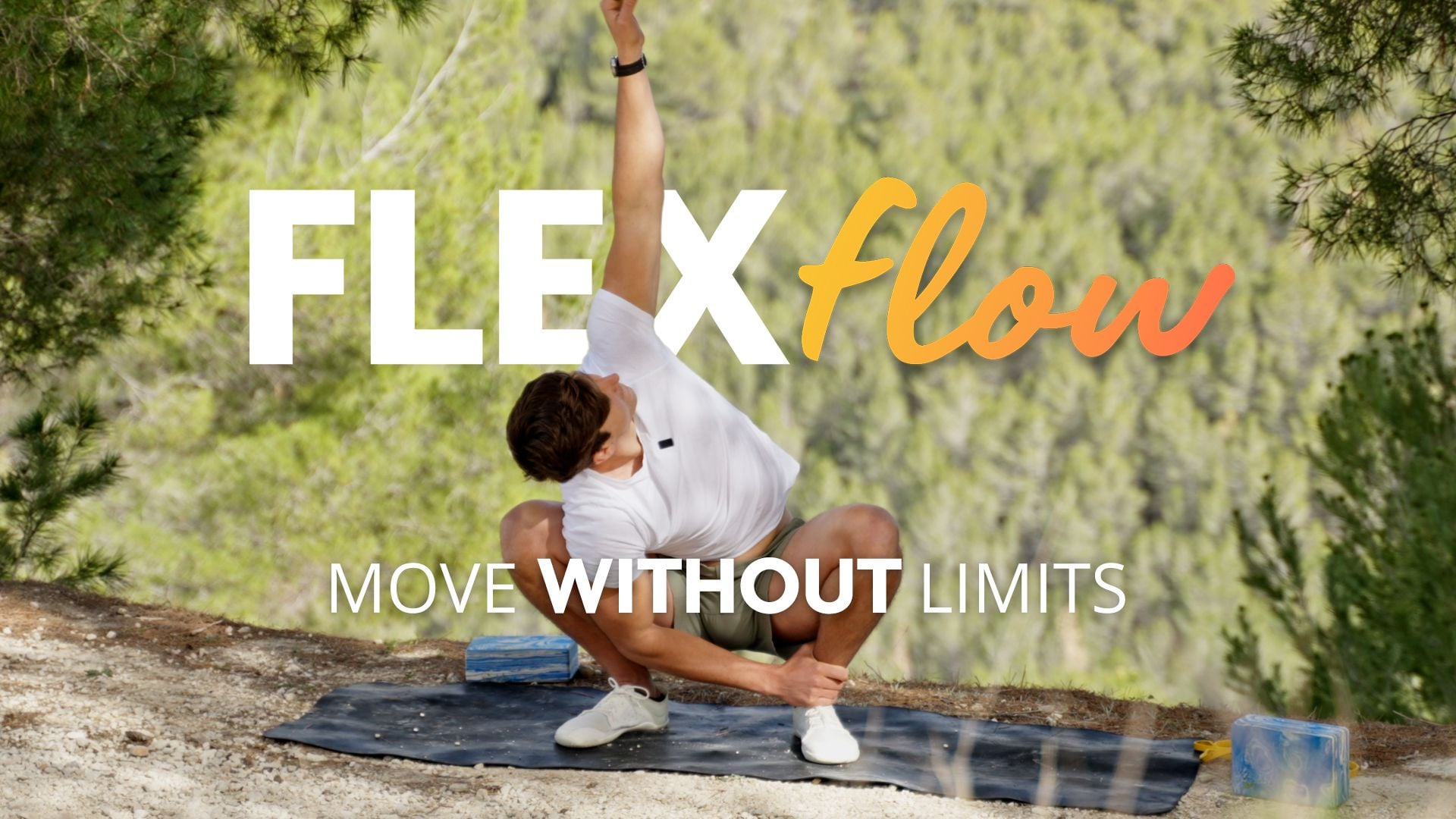 FlexFlow