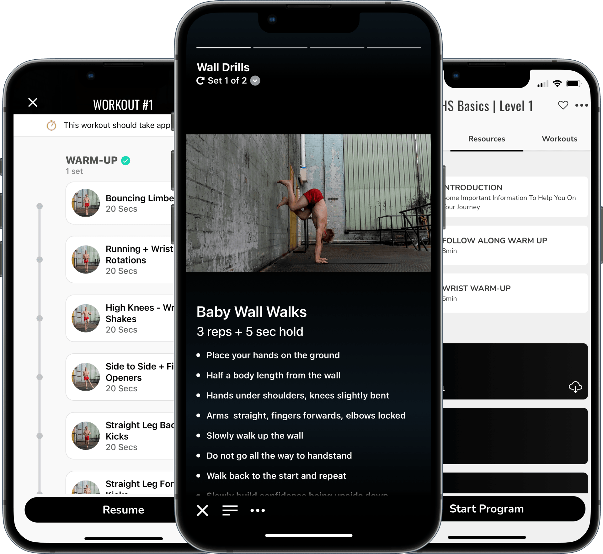 trifold-img